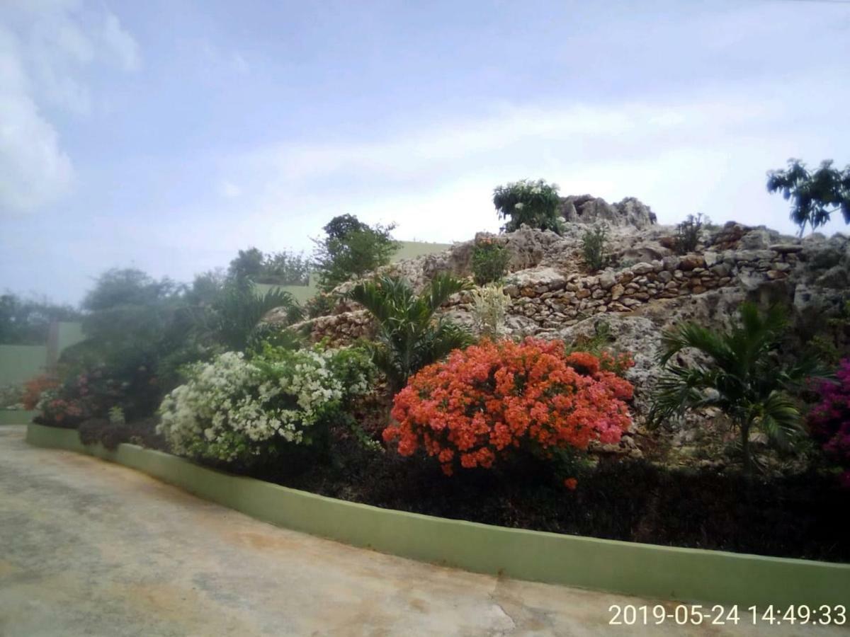 Eve'S Rockaway Villa Alligator Pond Dış mekan fotoğraf