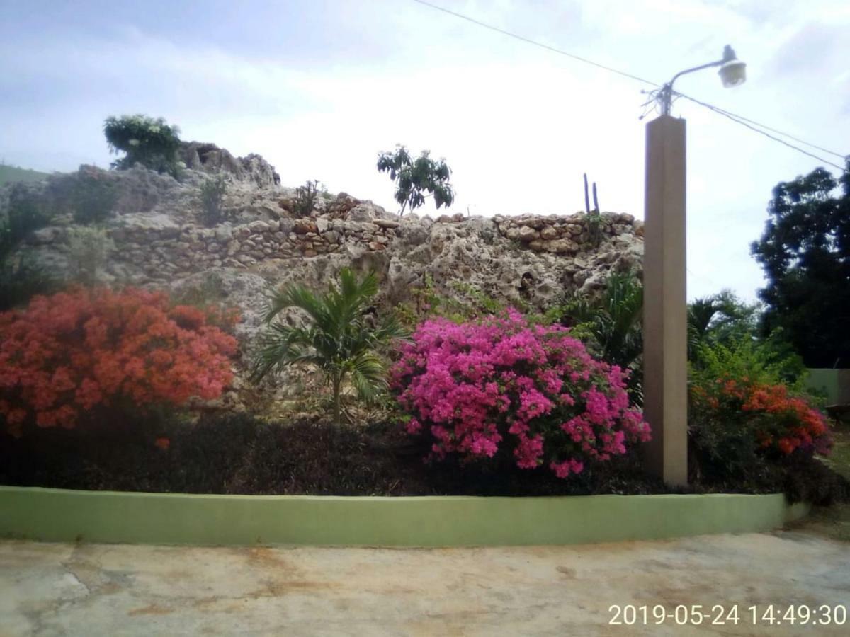 Eve'S Rockaway Villa Alligator Pond Dış mekan fotoğraf