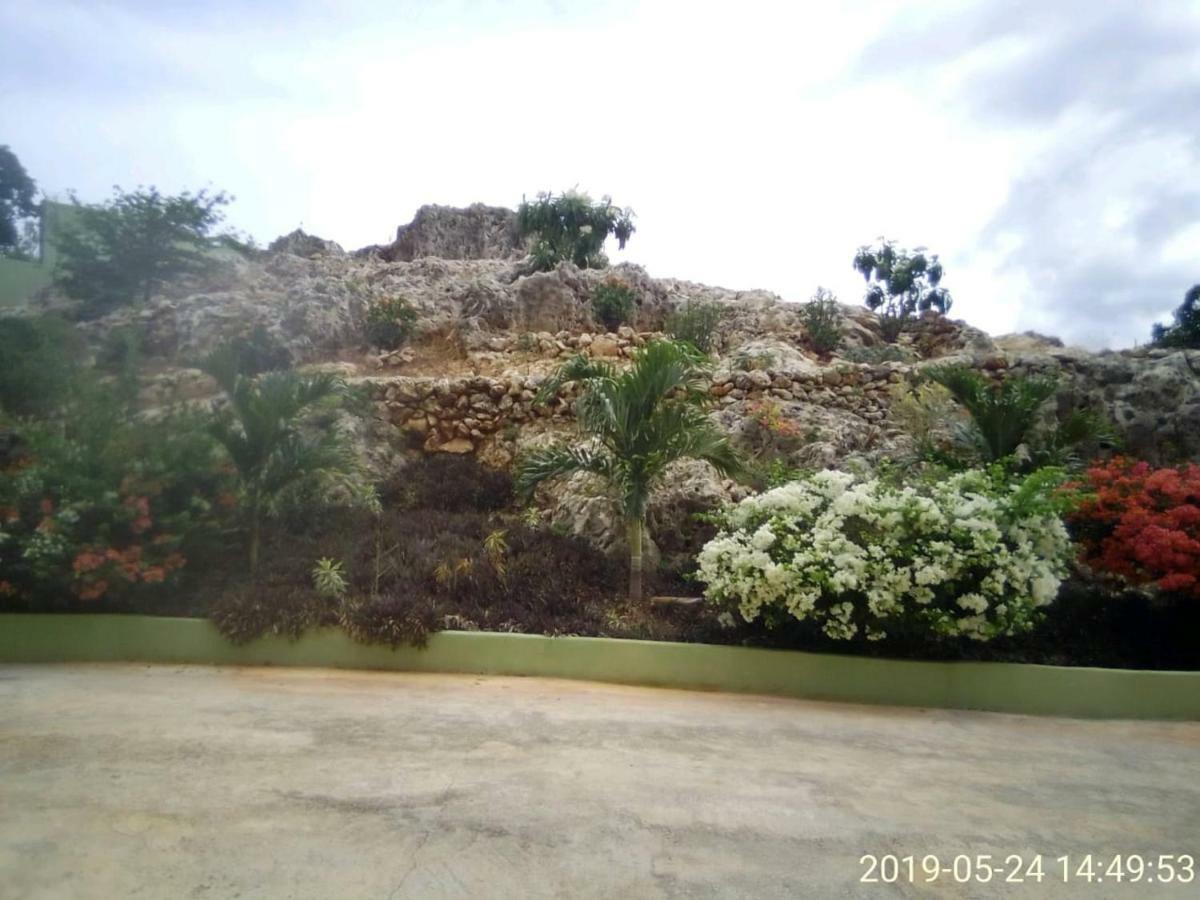 Eve'S Rockaway Villa Alligator Pond Dış mekan fotoğraf